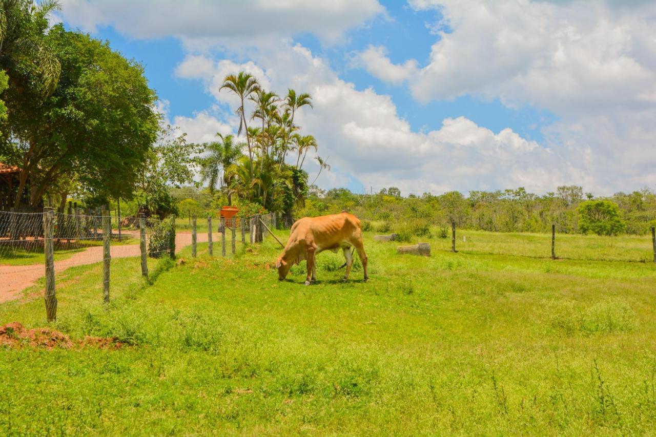 Fazenda Capoava Villa Itu Exterior foto