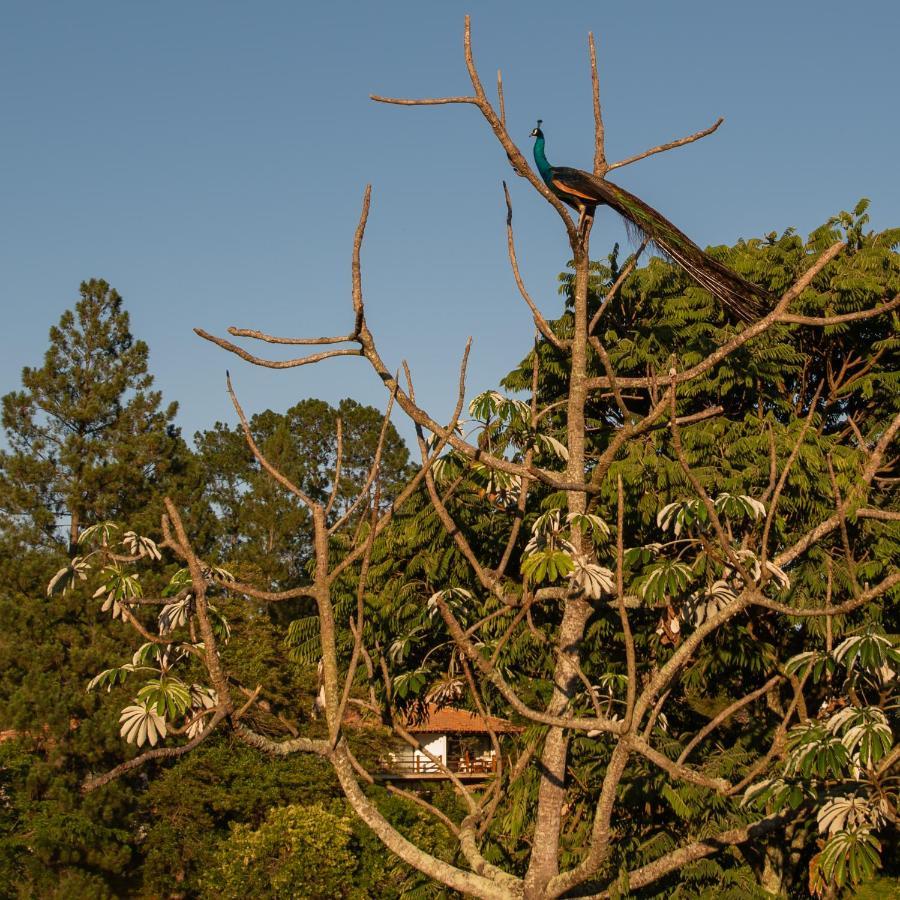 Fazenda Capoava Villa Itu Exterior foto