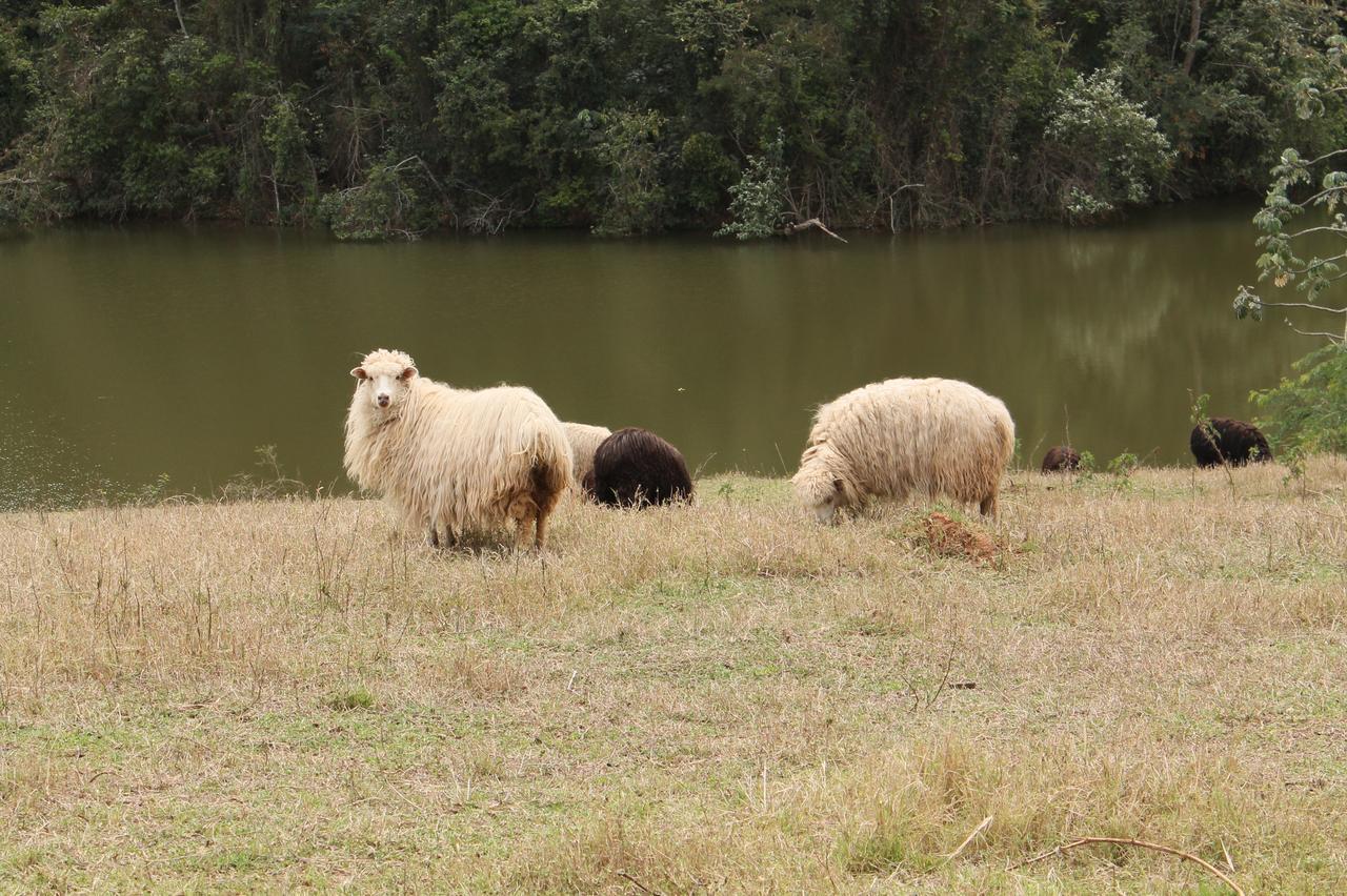 Fazenda Capoava Villa Itu Exterior foto